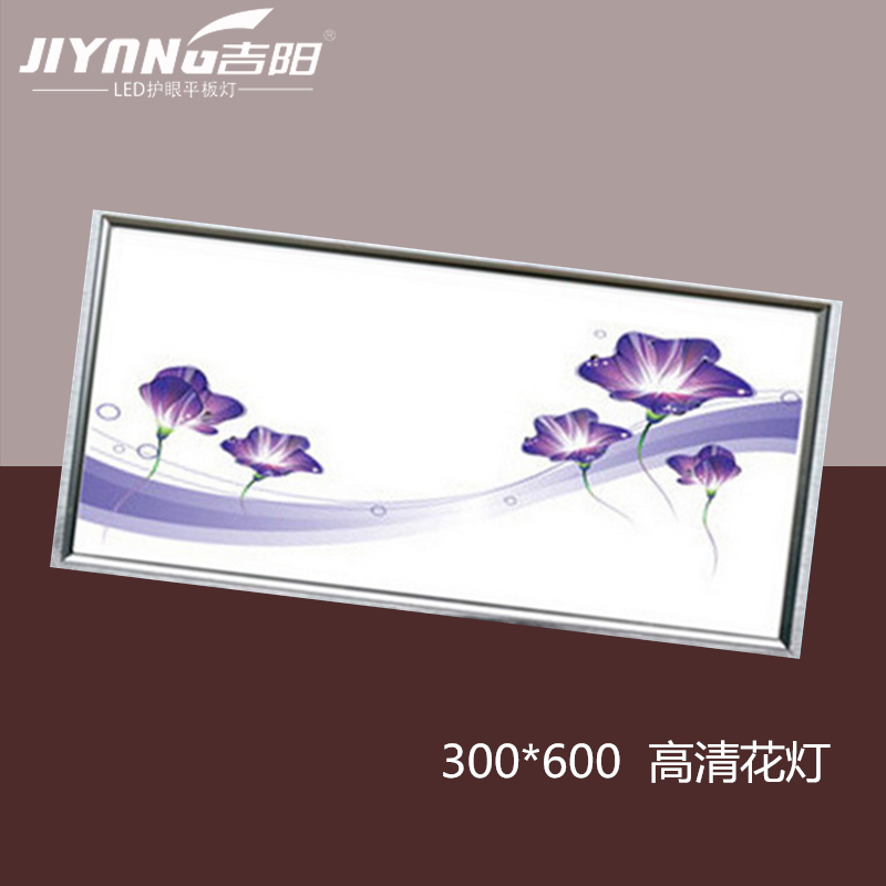 LED 300*600ƽ廨